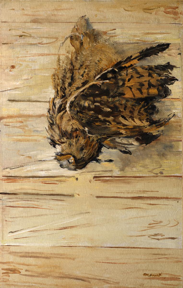 Dead Eagle Owl painting by Édouard Manet