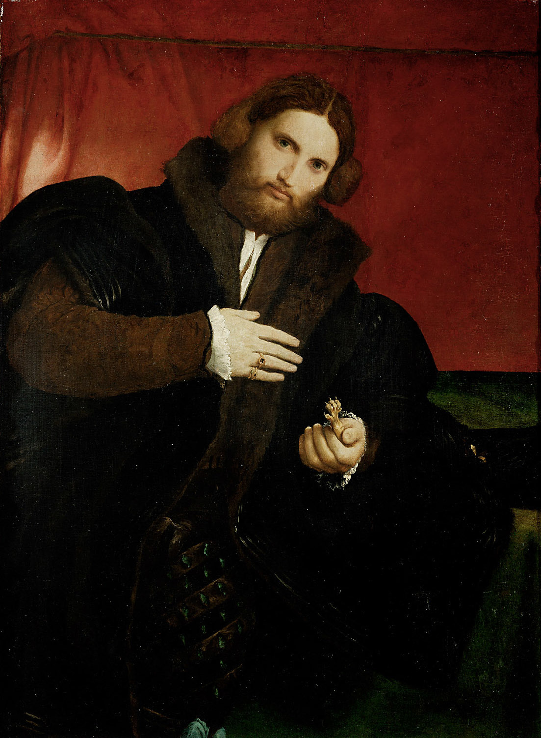 Portrait of a Gentleman with a Lion Paw painting by Lorenzo Lotto